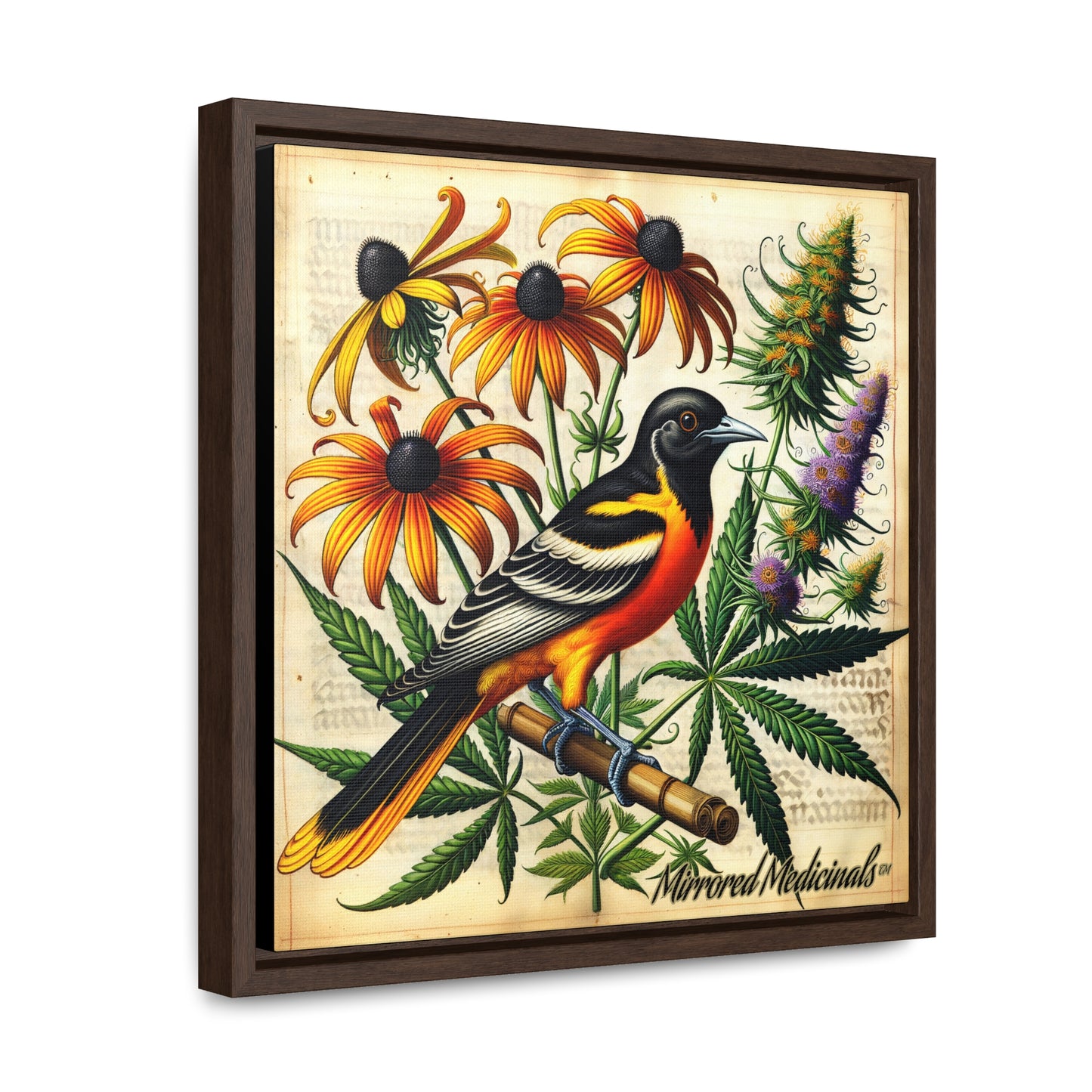 Old Line Oriole 4 - Gallery Canvas Wraps, Square Frame