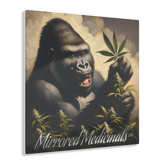 Gorilla 1 - Acrylic Prints