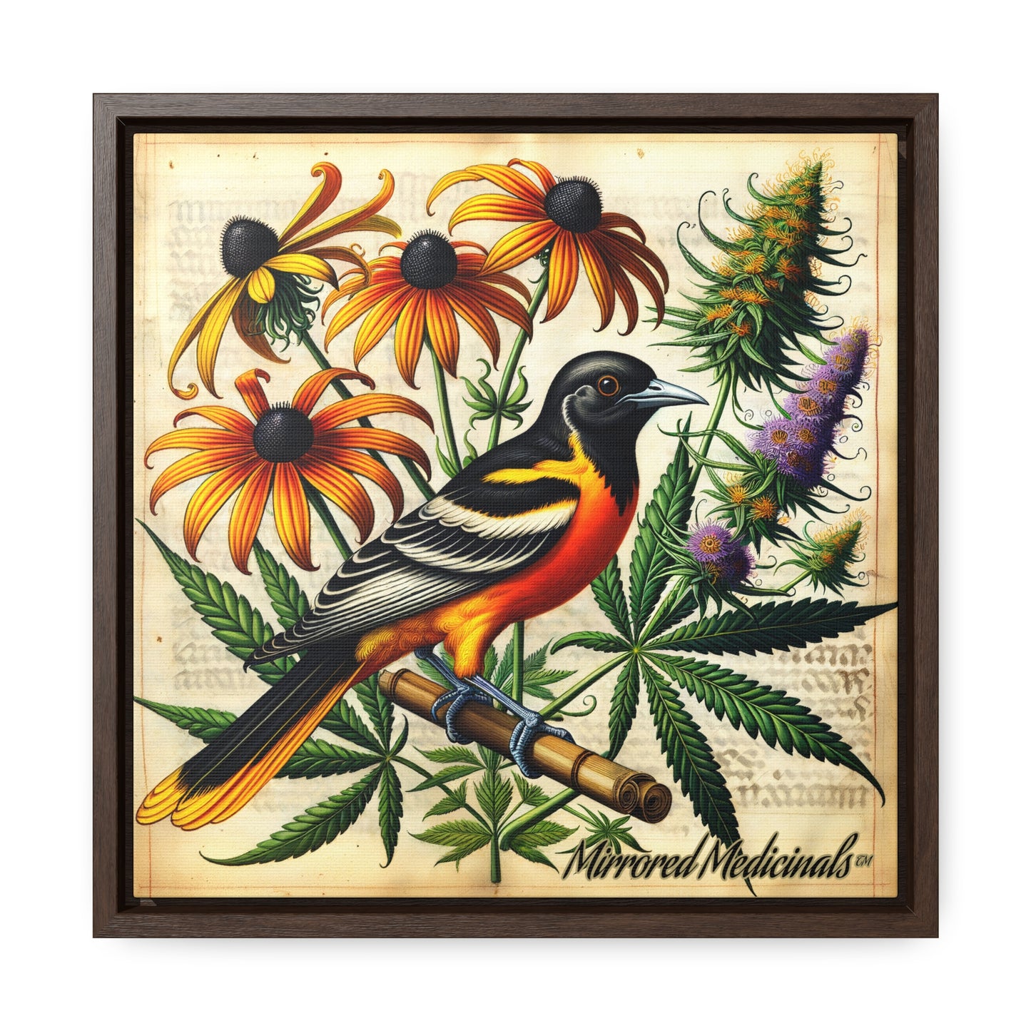 Old Line Oriole 4 - Gallery Canvas Wraps, Square Frame