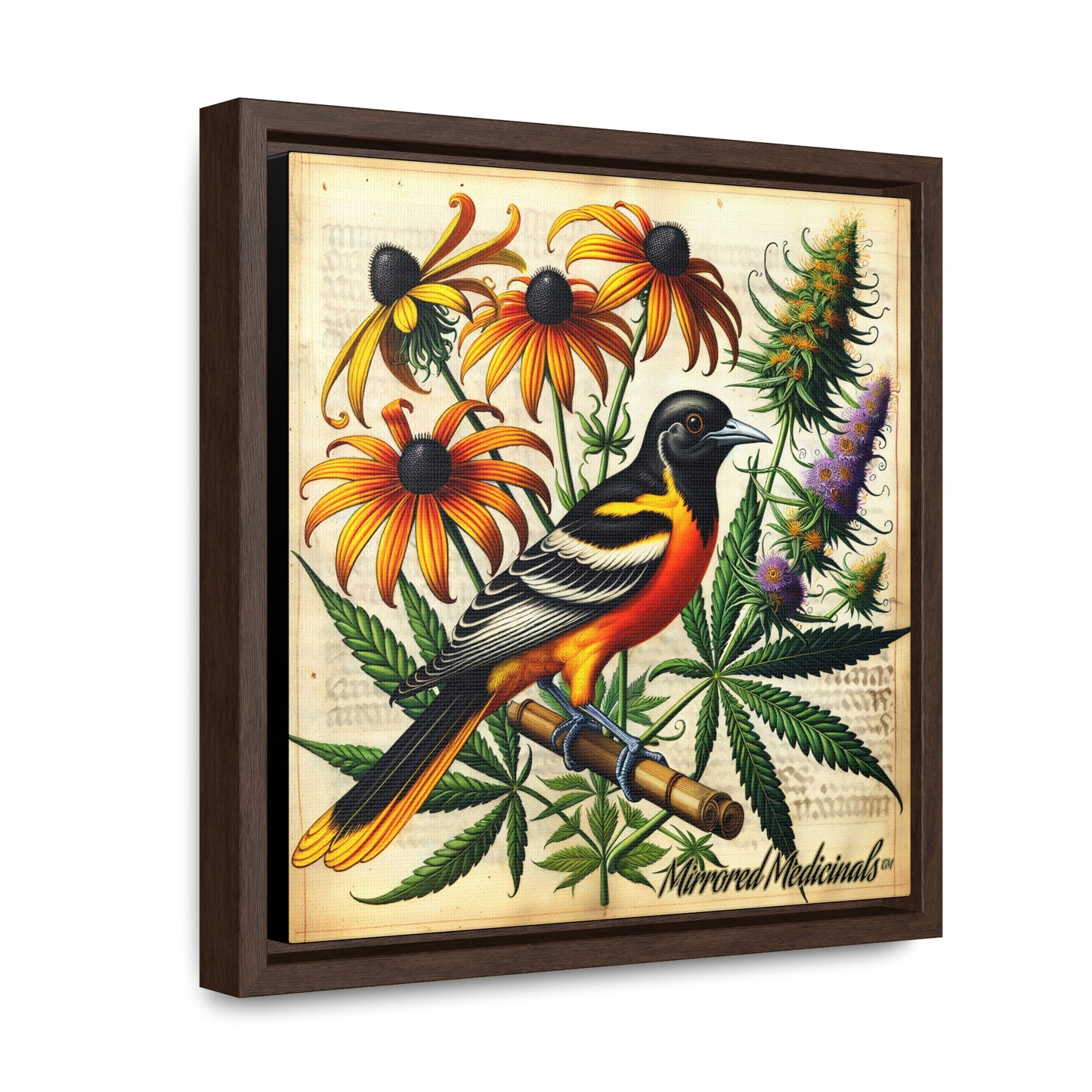 Old Line Oriole 4 - Gallery Canvas Wraps, Square Frame