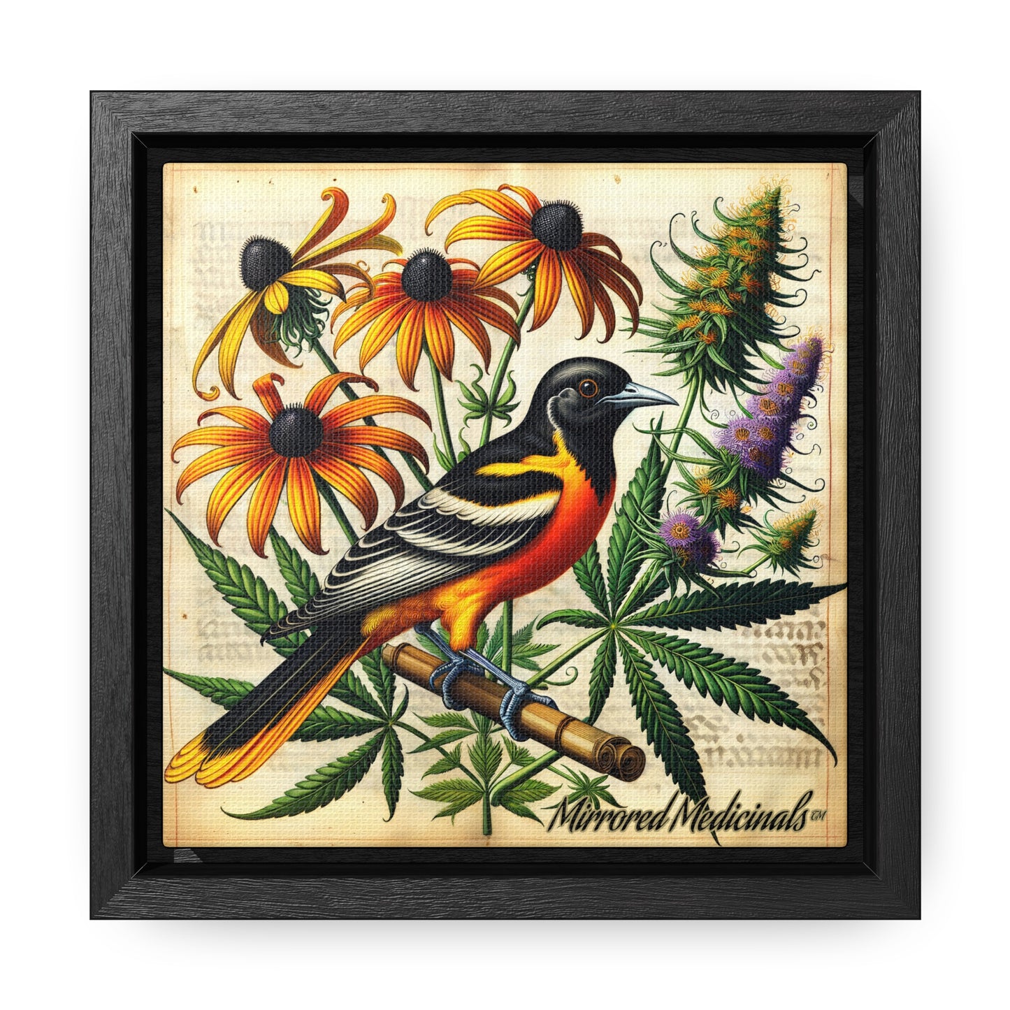 Old Line Oriole 4 - Gallery Canvas Wraps, Square Frame