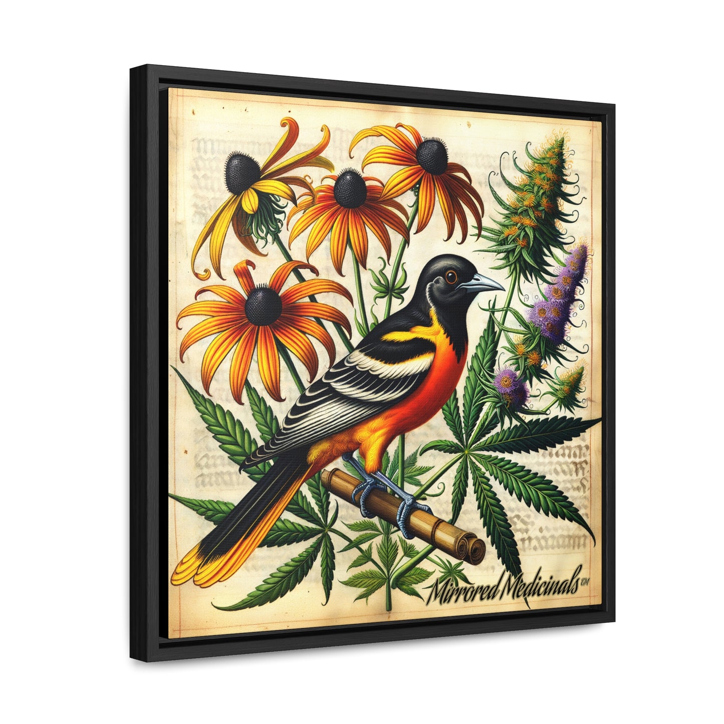 Old Line Oriole 4 - Gallery Canvas Wraps, Square Frame